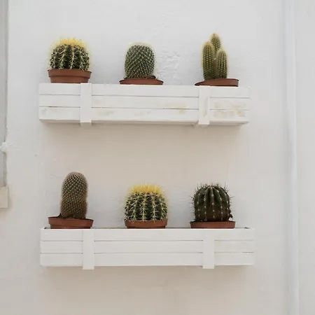 Grotta Carlotta Bed & Breakfast