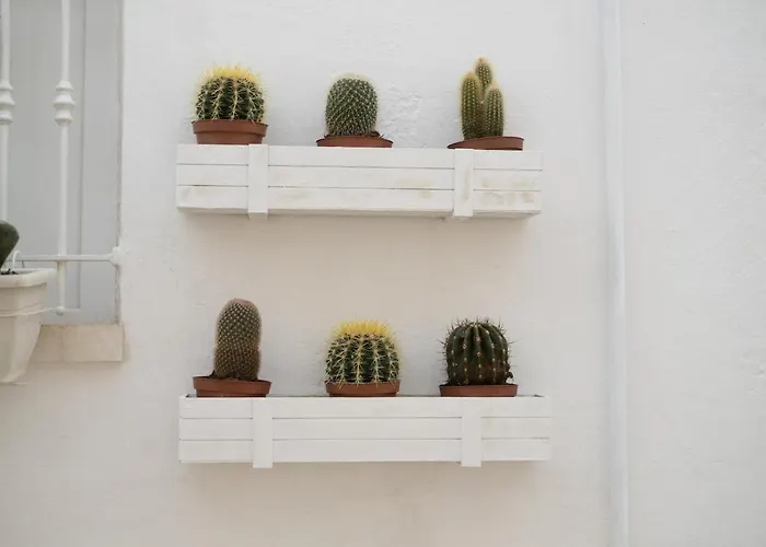 Grotta Carlotta לינה וארוחת בוקר